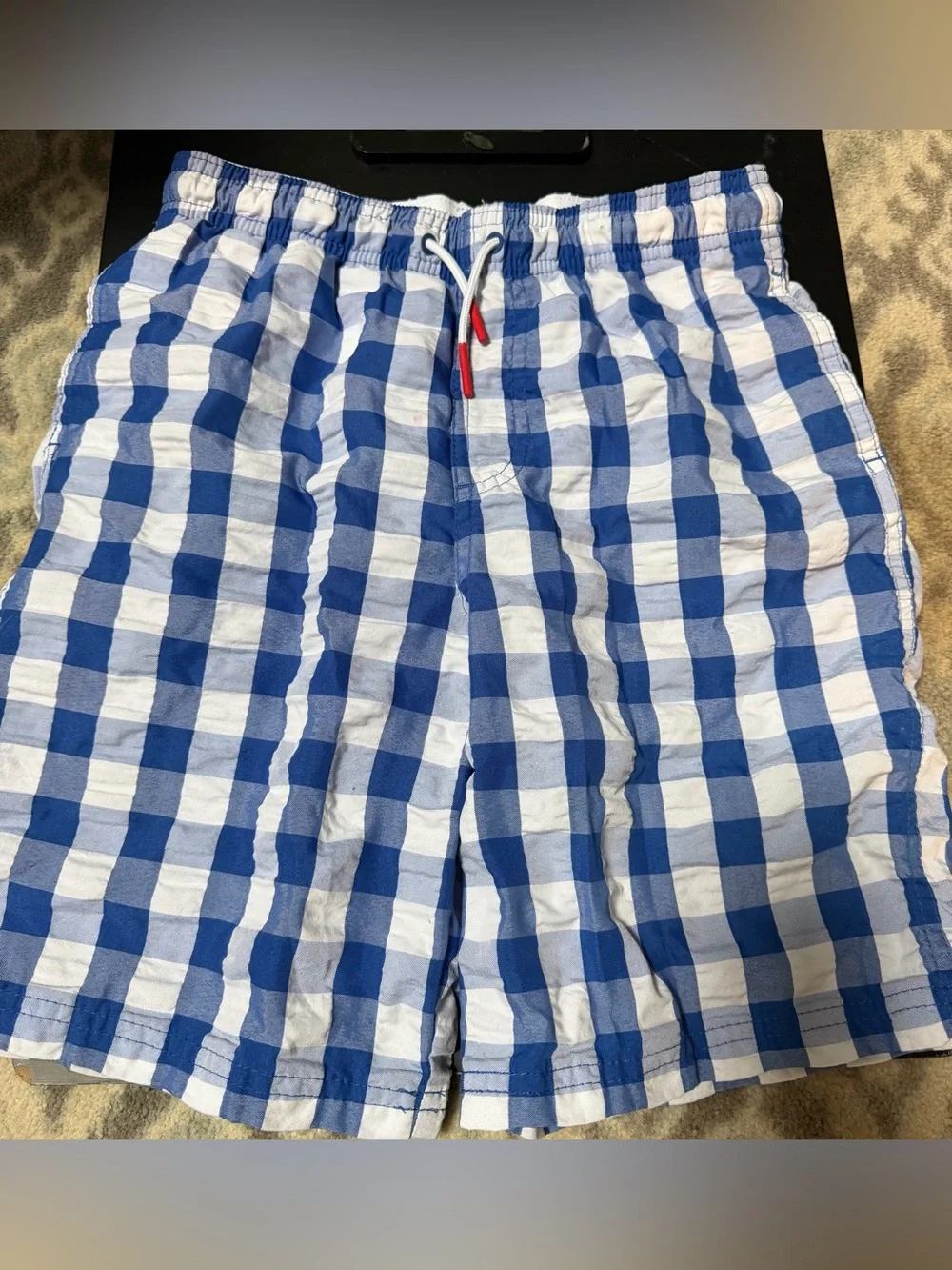 Cat & Jack Blue and White Gingham Swim Trunks